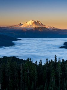 Preview wallpaper mountains, forest, spruce, clouds, valley