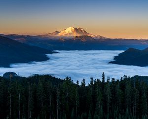 Preview wallpaper mountains, forest, spruce, clouds, valley