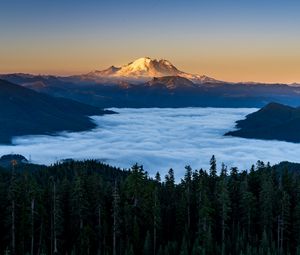 Preview wallpaper mountains, forest, spruce, clouds, valley