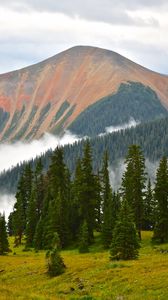 Preview wallpaper mountains, forest, spruce, fog, clouds