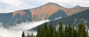 Preview wallpaper mountains, forest, spruce, fog, clouds