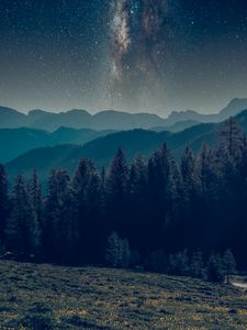 Preview wallpaper mountains, forest, starry sky, landscape, night