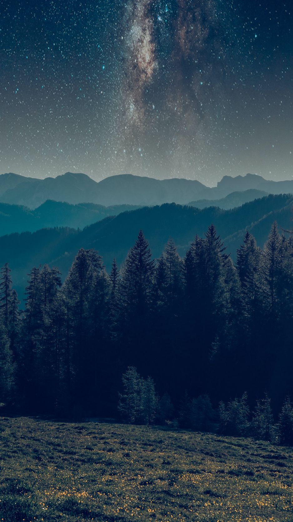 Download Wallpaper 938x1668 Mountains Forest Starry Sky Landscape