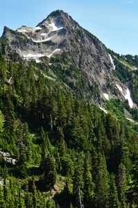 Preview wallpaper mountains, forest, trees, slopes, nature