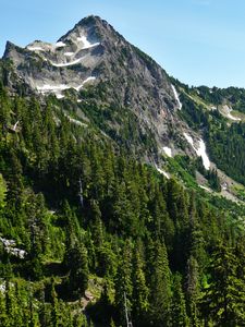 Preview wallpaper mountains, forest, trees, slopes, nature