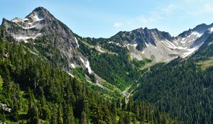 Preview wallpaper mountains, forest, trees, slopes, nature
