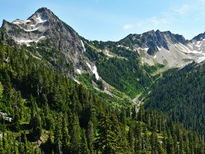 Preview wallpaper mountains, forest, trees, slopes, nature