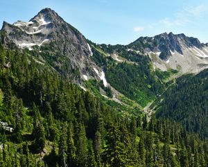Preview wallpaper mountains, forest, trees, slopes, nature