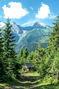 Preview wallpaper mountains, forest, trees, grass, summer