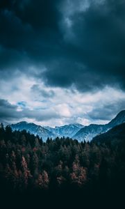 Preview wallpaper mountains, forest, trees, clouds