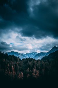 Preview wallpaper mountains, forest, trees, clouds