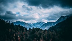 Preview wallpaper mountains, forest, trees, clouds