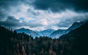 Preview wallpaper mountains, forest, trees, clouds