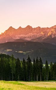 Preview wallpaper mountains, forest, trees, meadow, nature