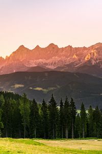 Preview wallpaper mountains, forest, trees, meadow, nature