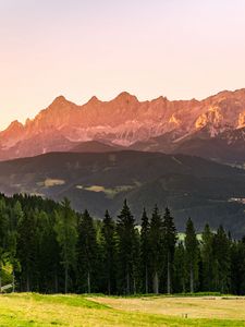 Preview wallpaper mountains, forest, trees, meadow, nature