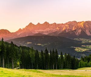 Preview wallpaper mountains, forest, trees, meadow, nature