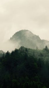 Preview wallpaper mountains, forest, trees, fog, nature, hills