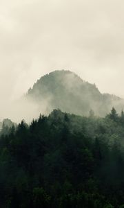 Preview wallpaper mountains, forest, trees, fog, nature, hills