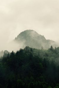 Preview wallpaper mountains, forest, trees, fog, nature, hills