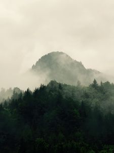 Preview wallpaper mountains, forest, trees, fog, nature, hills