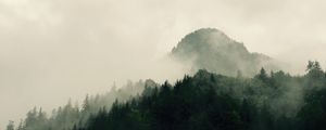 Preview wallpaper mountains, forest, trees, fog, nature, hills