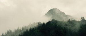 Preview wallpaper mountains, forest, trees, fog, nature, hills