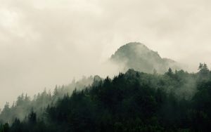 Preview wallpaper mountains, forest, trees, fog, nature, hills