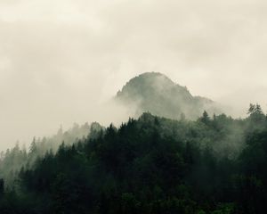 Preview wallpaper mountains, forest, trees, fog, nature, hills