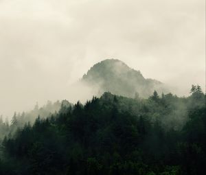 Preview wallpaper mountains, forest, trees, fog, nature, hills