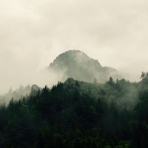 Preview wallpaper mountains, forest, trees, fog, nature, hills