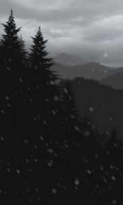 Preview wallpaper mountains, forest, trees, snow, vector, art