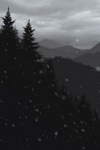 Preview wallpaper mountains, forest, trees, snow, vector, art