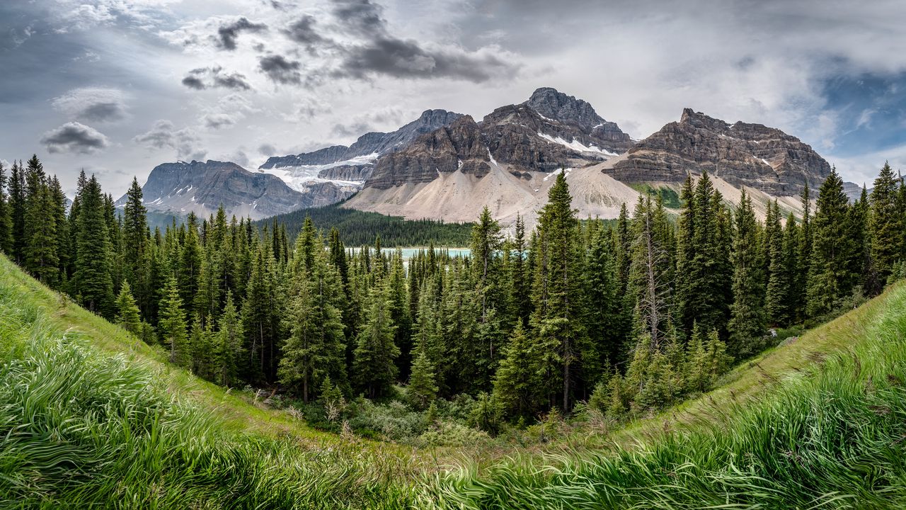 Wallpaper mountains, forest, trees, grass