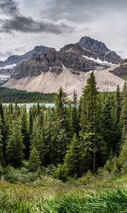 Preview wallpaper mountains, forest, trees, grass