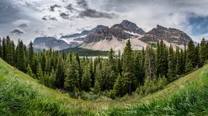 Preview wallpaper mountains, forest, trees, grass