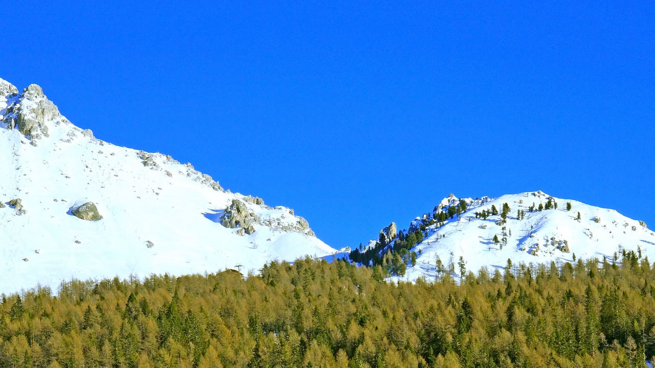 Wallpaper mountains, forest, trees, snow, snowy, moon