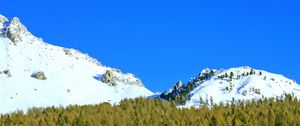 Preview wallpaper mountains, forest, trees, snow, snowy, moon