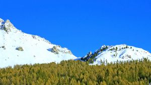 Preview wallpaper mountains, forest, trees, snow, snowy, moon