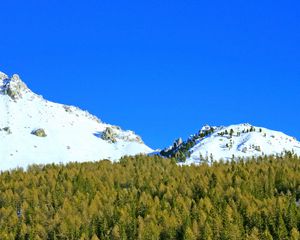 Preview wallpaper mountains, forest, trees, snow, snowy, moon