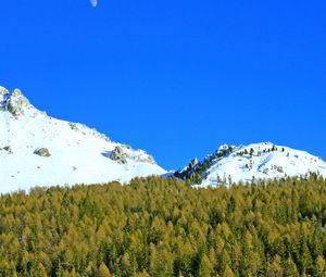 Preview wallpaper mountains, forest, trees, snow, snowy, moon