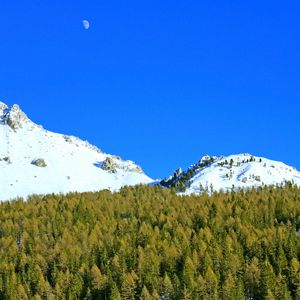 Preview wallpaper mountains, forest, trees, snow, snowy, moon