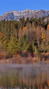 Preview wallpaper mountains, forest, trees, water, reflection