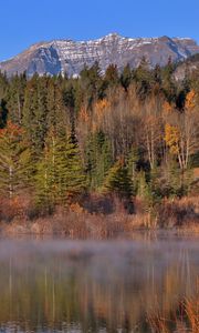 Preview wallpaper mountains, forest, trees, water, reflection