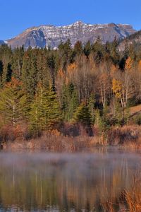 Preview wallpaper mountains, forest, trees, water, reflection