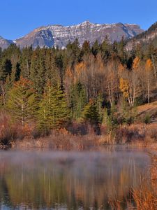 Preview wallpaper mountains, forest, trees, water, reflection