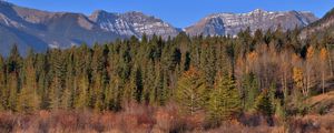 Preview wallpaper mountains, forest, trees, water, reflection