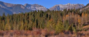 Preview wallpaper mountains, forest, trees, water, reflection