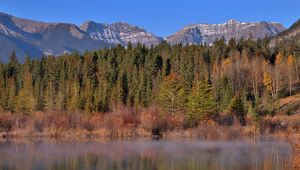 Preview wallpaper mountains, forest, trees, water, reflection