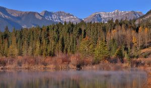 Preview wallpaper mountains, forest, trees, water, reflection